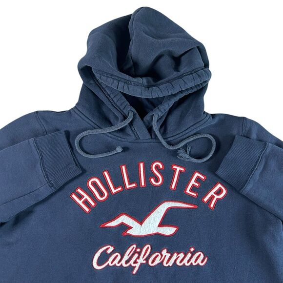 Vintage Hollister California Graphic Hoodie Men’s Large Spell Out Bird Surf Y2K - Picture 1 of 10